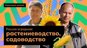 Россия аграрная: растениеводство, садоводство| Россия - мои горизонты