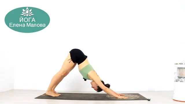 ВДУМЧИВАЯ виньяса ЙОГА на ВСЁ ТЕЛО - Длинная практика йоги - Йога chilelavida Елена Малова смотреть онлайн