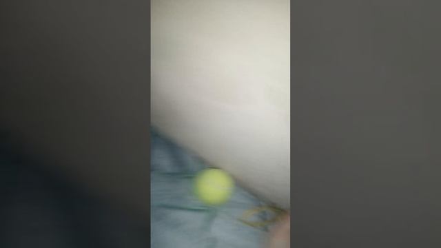 VID_20250727_205330.mp4