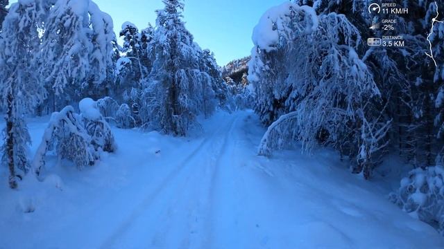 Virtual Run In Winter Woods Postcard Scenery From Norway
