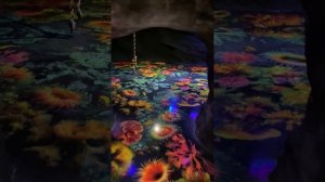 Аквапарк г.Суздаль июль 2025г.