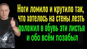Из ног уйдут судороги, боль и ломота - положите в обувь листья этого растения
