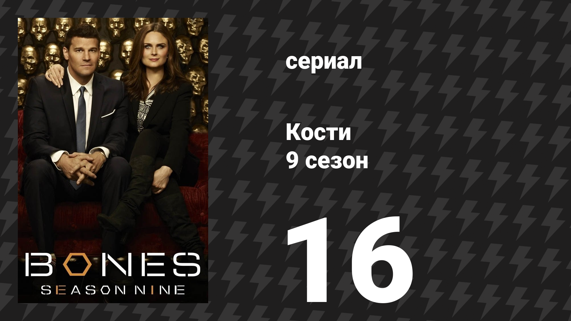 Кости 9 сезон 16 серия «Источник в тине» (сериал, 2013) смотреть онлайн