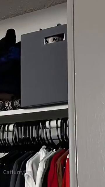 За нами следят смотреть онлайн