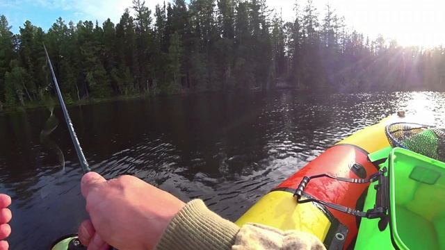 ЩУКА ЛОВИЛАСЬ МЕЛКАЯ,ЗАТО ОКУНЬ КРУПНЫЙ.РЫБАЛКА НА СПИННИНГ. смотреть онлайн