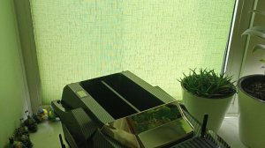 Обзор прикормочного корабля s 80