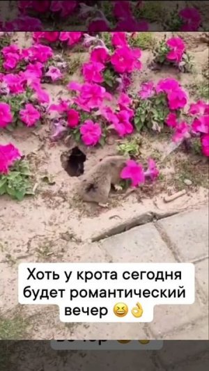 Романтика😂