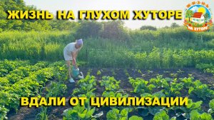 🟢ДЕРЕВЕНСКИЕ БУДНИ: огород, стройка и жизнь на природе