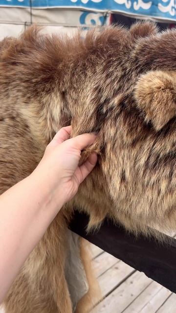 Зашел в гости 😆🤣 смотреть онлайн