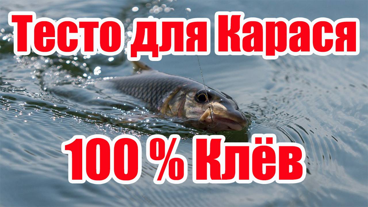 Насадка на Карася Карп Лещ Плотва На что ловить карася смотреть онлайн