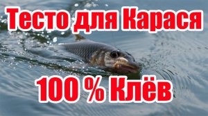 Насадка на Карася Карп Лещ Плотва На что ловить карася