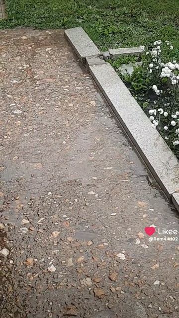 Опять дожди🌧 смотреть онлайн