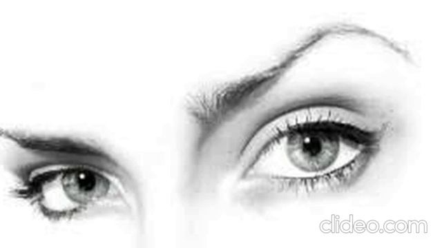 Гепард-взгляд