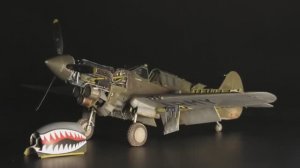 Curtiss P-40 E Warhawk - Eduard 1/48 - Aircraft Model