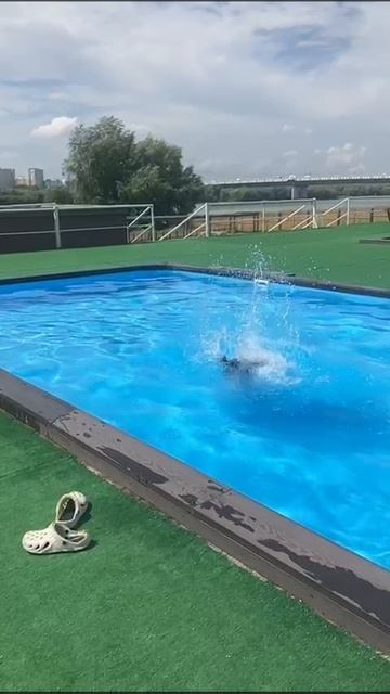 Любимки ❤️ смотреть онлайн