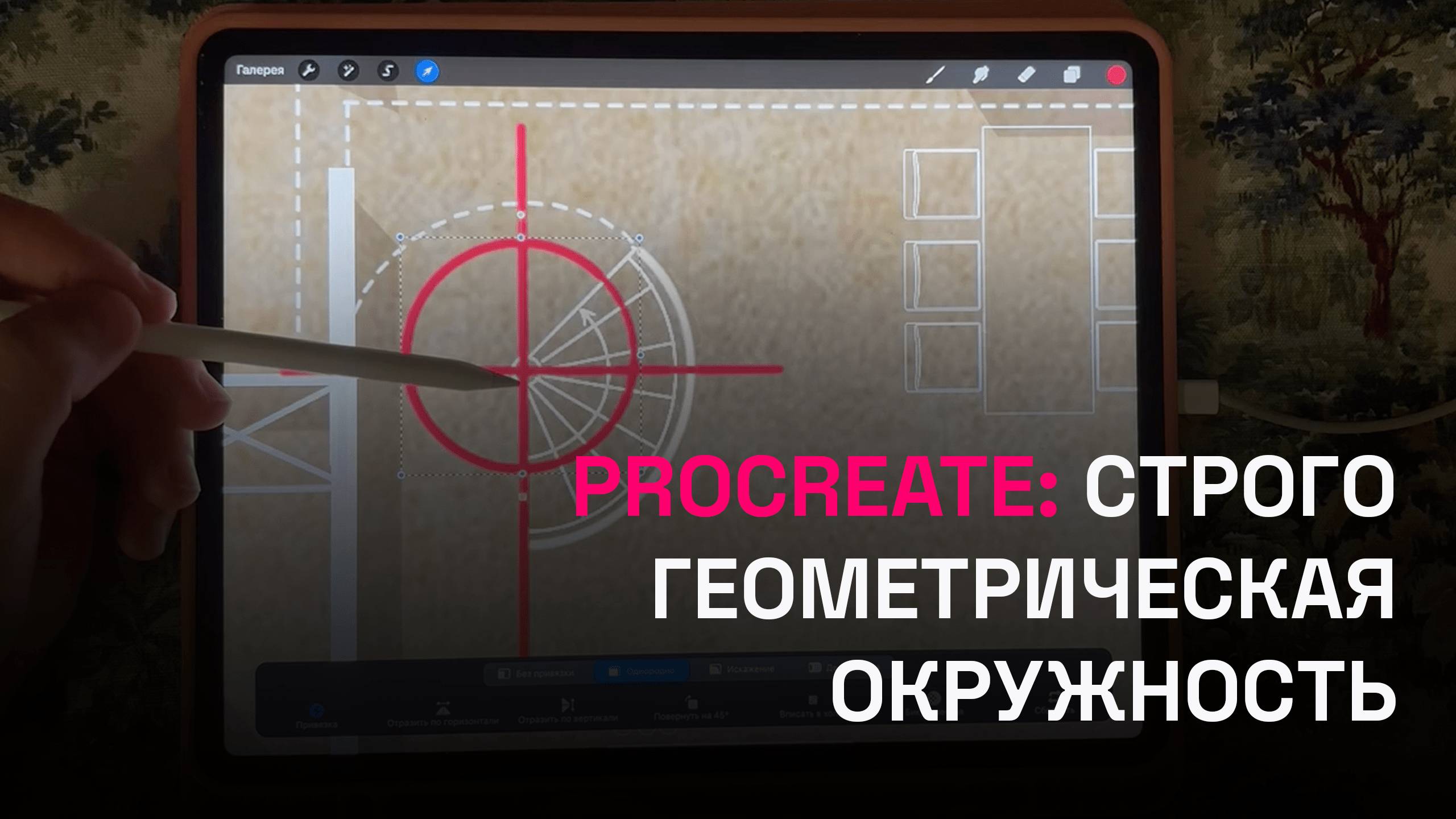 Как построить строго геометрическая окружность в Procreate?