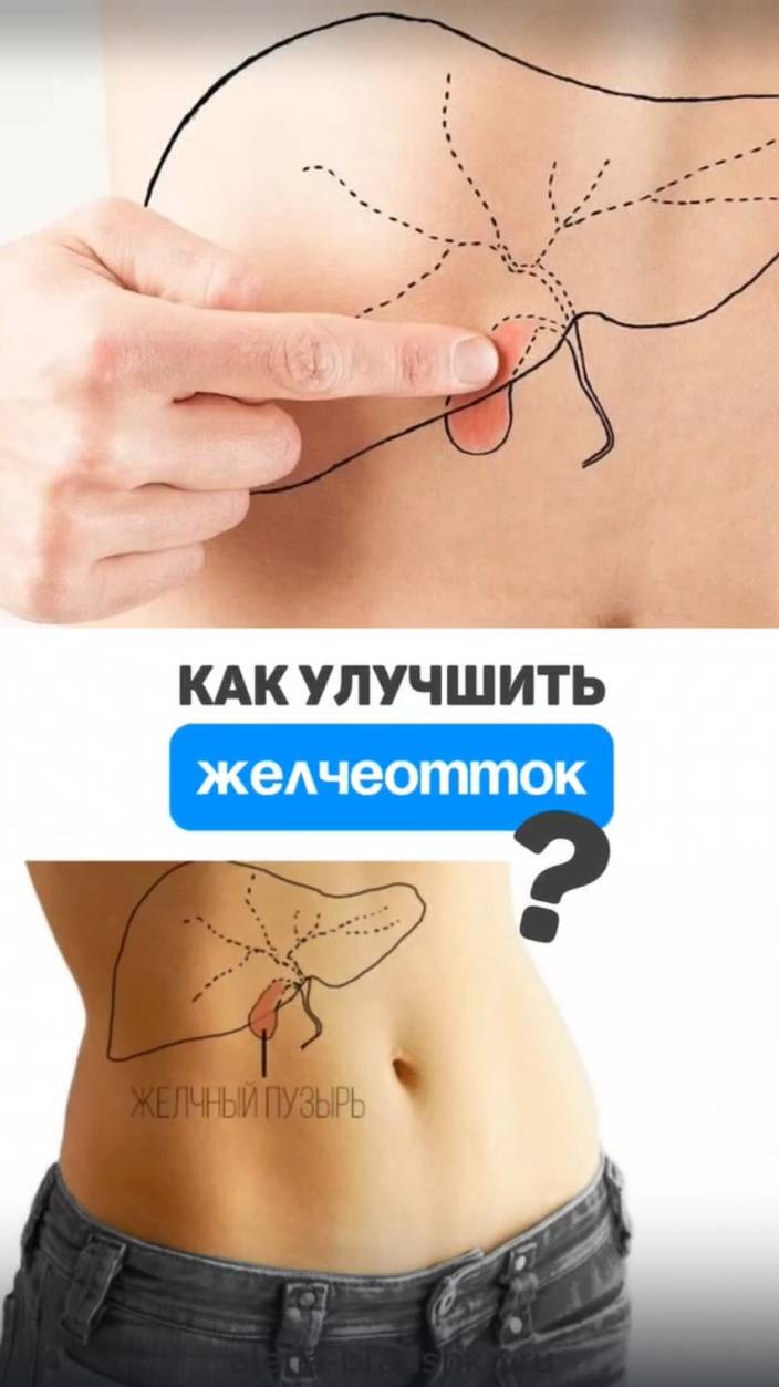 Как улучшить желчеотток? Алена Братишко смотреть онлайн