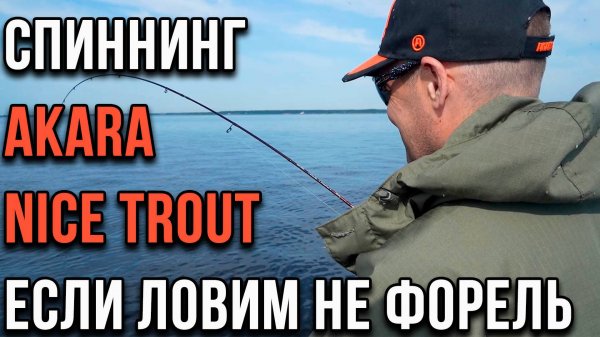 Спиннинг Akara Nice Trout, если ловим не форель.