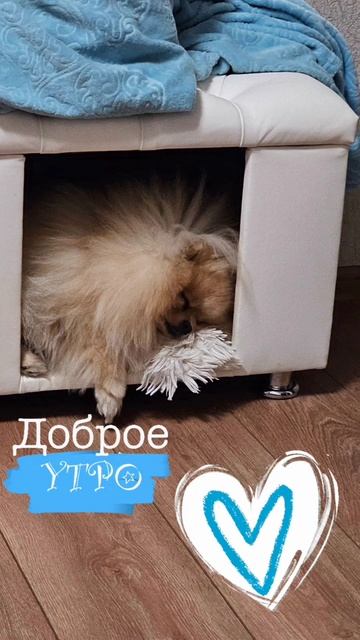 доброе утро смотреть онлайн