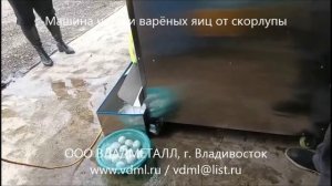 Машина чистки варёных яиц от скорлупы, оборудование чистки яиц, удаления скорлупы для предприятия