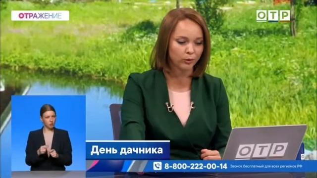 День дачника.