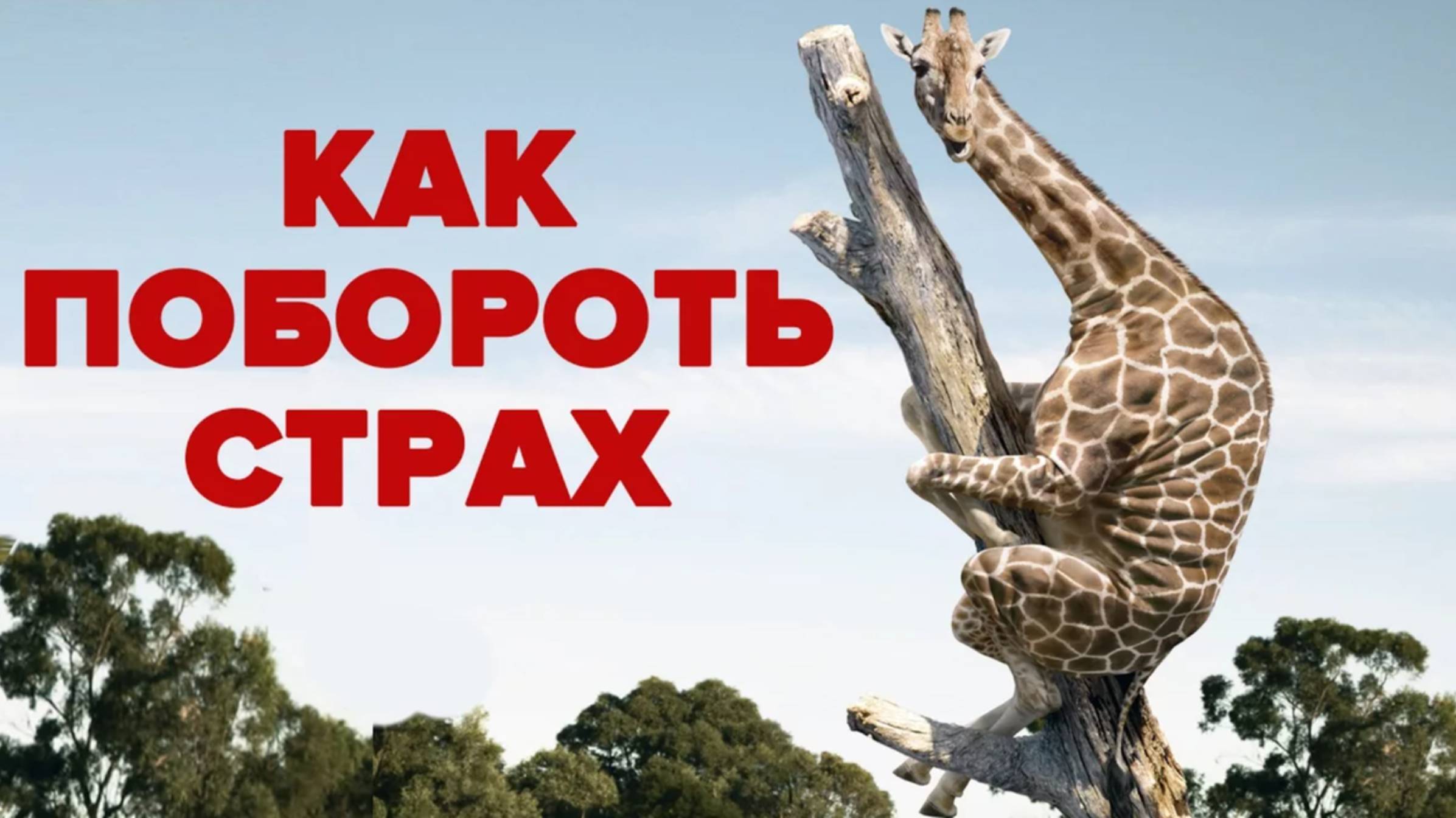 Преодолеваем страхи👍😎😁💪 смотреть онлайн