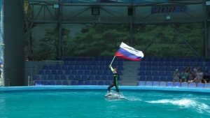 Алуштинский дельфинарий Акварель. 15 июля 2025г.