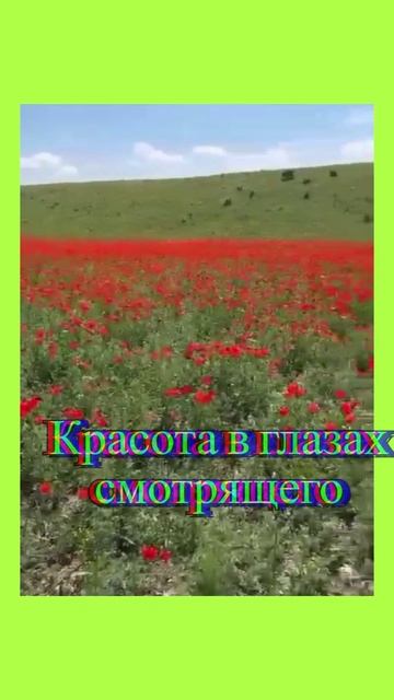 Красота — это обещание счастья.