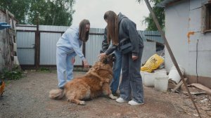 Мягкие лапки #11