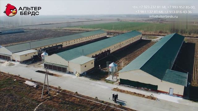 Оборудование от Альтер Бёрдс：Птичники под ключ