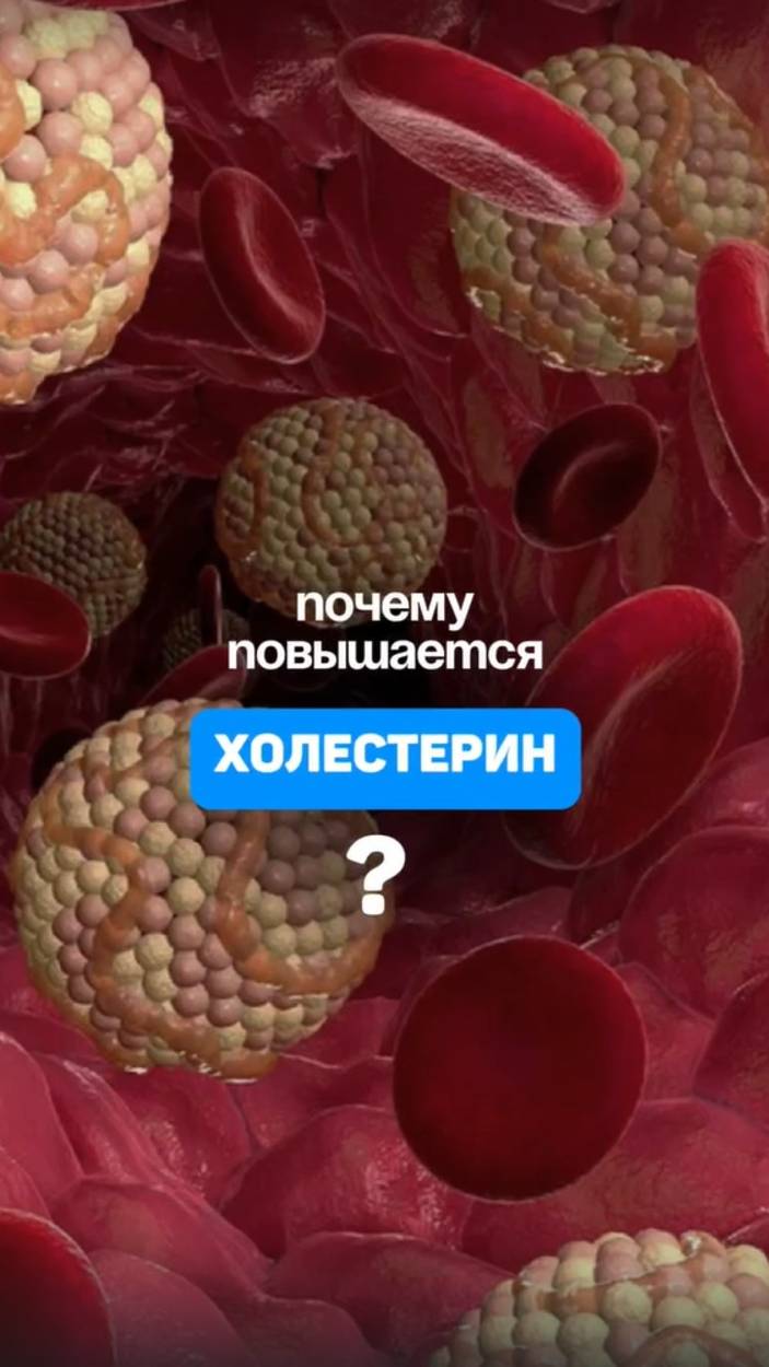 Почему холестерин повышается? Алена Братишко смотреть онлайн
