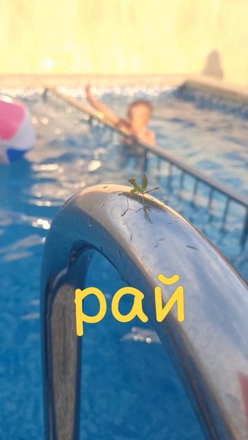 лето 2025 в раю