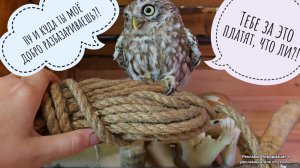 Распаковка нового крутого ножа! Мастеркласс как сделать крутой держатель для ножей на кухню