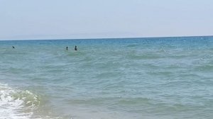 Пляжный аврал в Благовещенке под Анапой