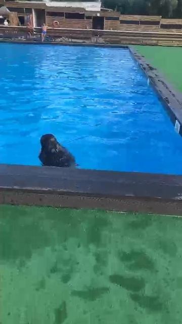 🔥💕💗💖 смотреть онлайн