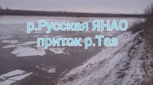Витязь ДТ30ПНМ, Витязь ДТ30 ПМНК12 идут по р.Русская 190км.