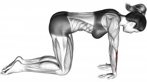 Сделайте это чтобы Укрепить Верхнюю и Нижнюю часть Спины