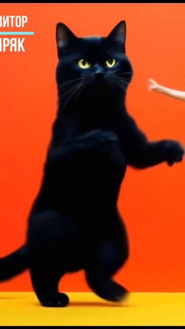 Танцуем! #музыка #aisongs #нейромузыка #aimusic #lumaai #music