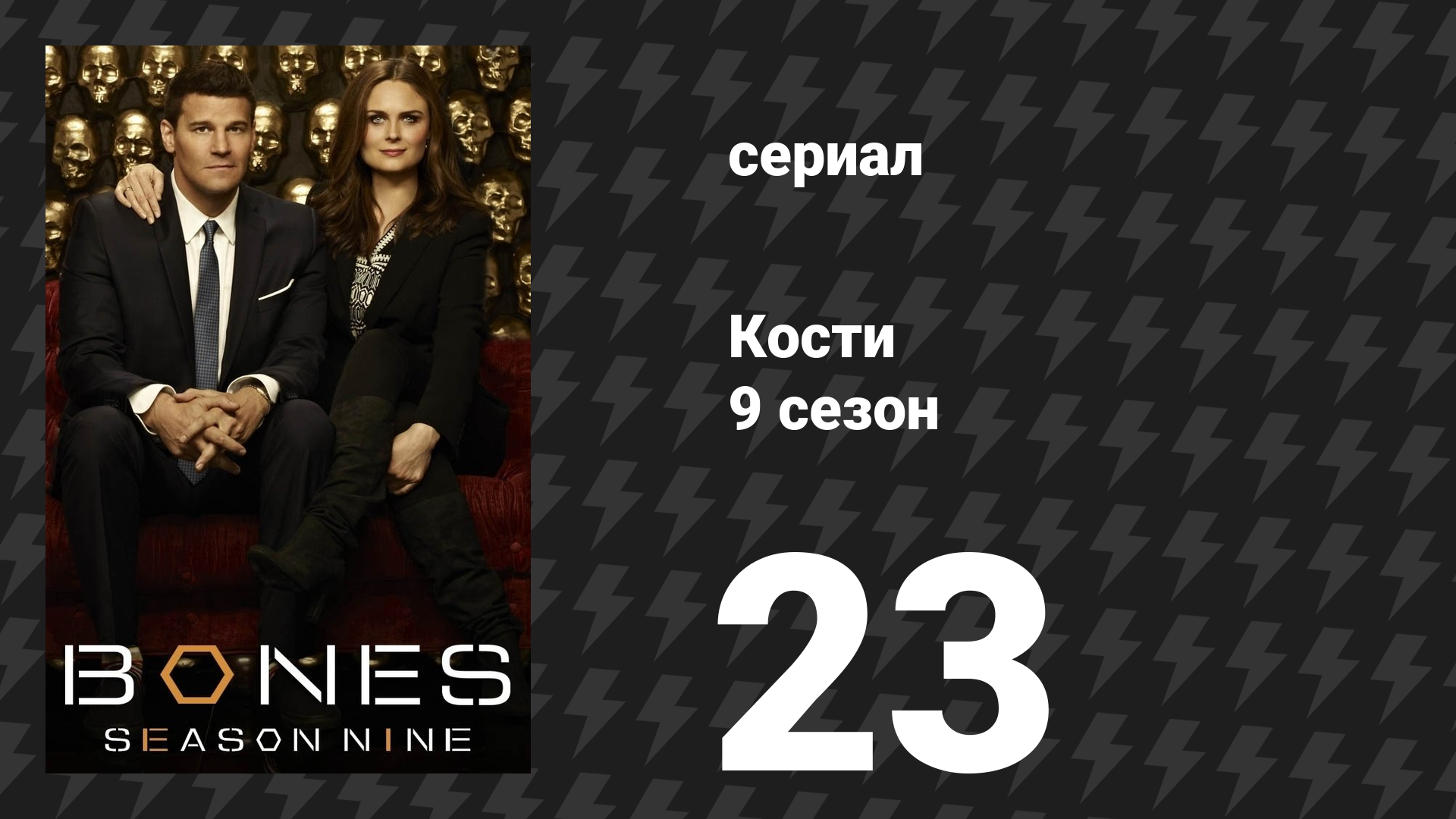 Кости 9 сезон 23 серия «Трагедия королевы» (сериал, 2013) смотреть онлайн