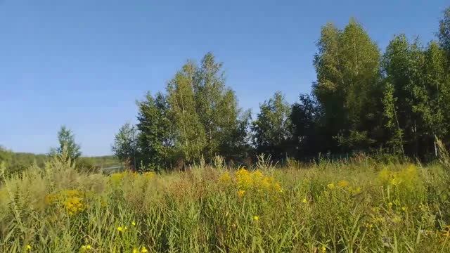 Ежедневник 📅 Парк паровозов 🚂 Отложенная жизнь 🏰 Новая футболка 👚 смотреть онлайн