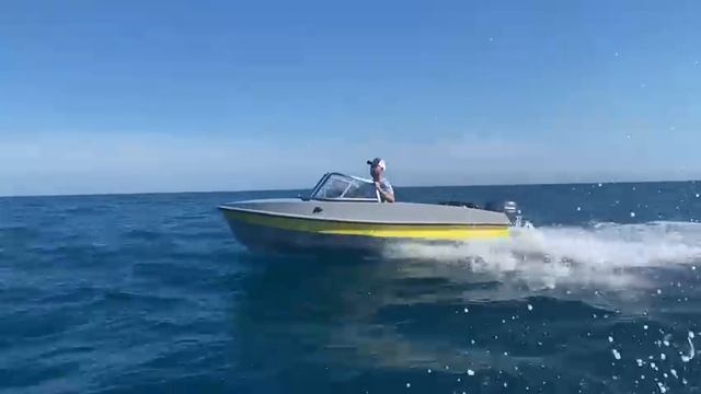 Лодка Афалина-395