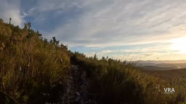 Virtual Hike Tasmania Wilderness Virtual Scenery For Treadmill