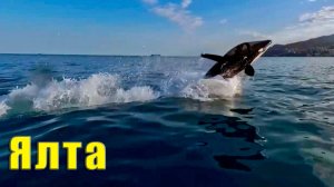 Обстановка в Крыму. Что творится на пляжах в Ялте. Температура морской воды в Ялте 28 июля 2025г