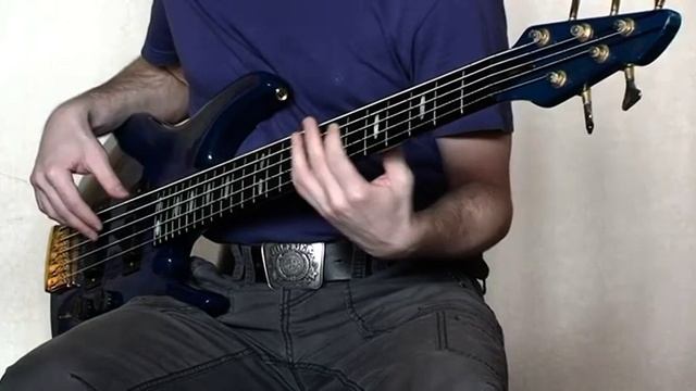 Peavey TL-5 Bass Bassjapanusa.ru