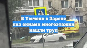 В Тюмени в Зареке под окнами многоэтажки нашли труп