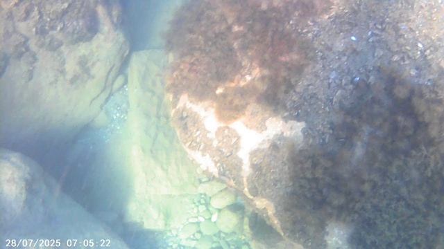 VID00002 смотреть онлайн