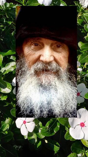 Весна души смотреть онлайн