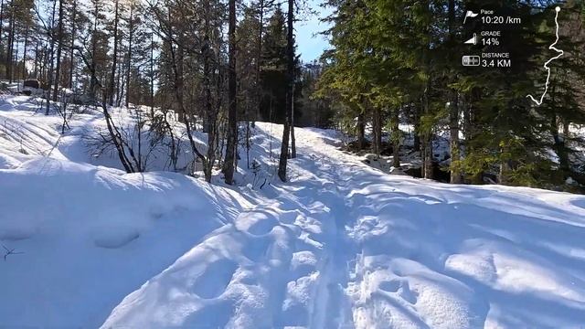 Norway Virtual Run Winter Trail Running