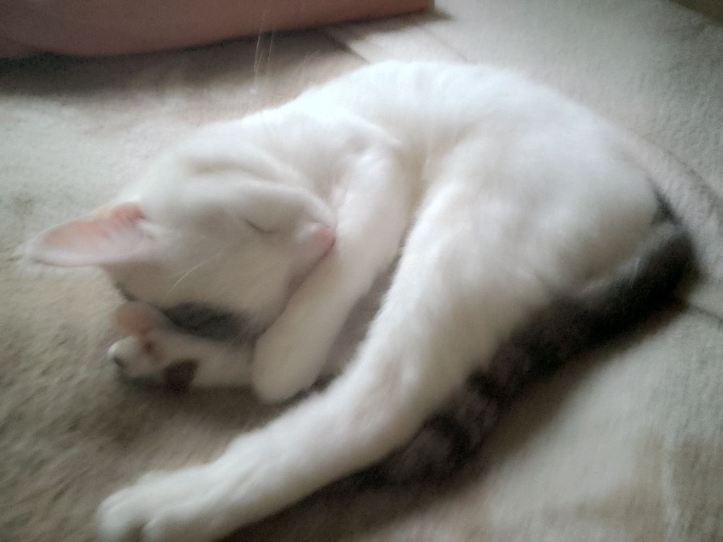 стрим 3 часть смотреть онлайн