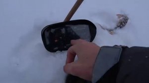 Рыбалка на лесном озере